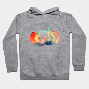 Watercolor pumpkins Hoodie